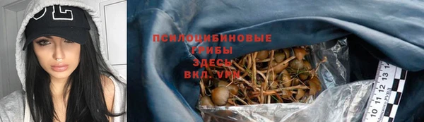 Альфа ПВП Щучье