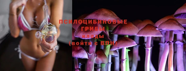 стаф Абдулино