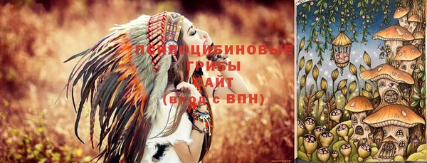 стаф Абдулино
