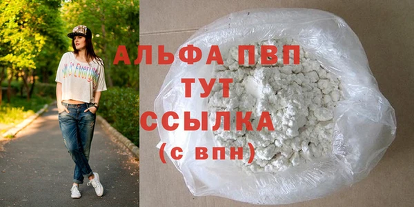 прущие грибы Богородицк