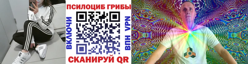 Псилоцибиновые грибы GOLDEN TEACHER  Абдулино 